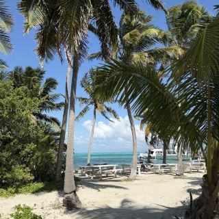 🐠 Belize: A Paradise for Snorkeling & Scuba Diving 🌊🇧🇿