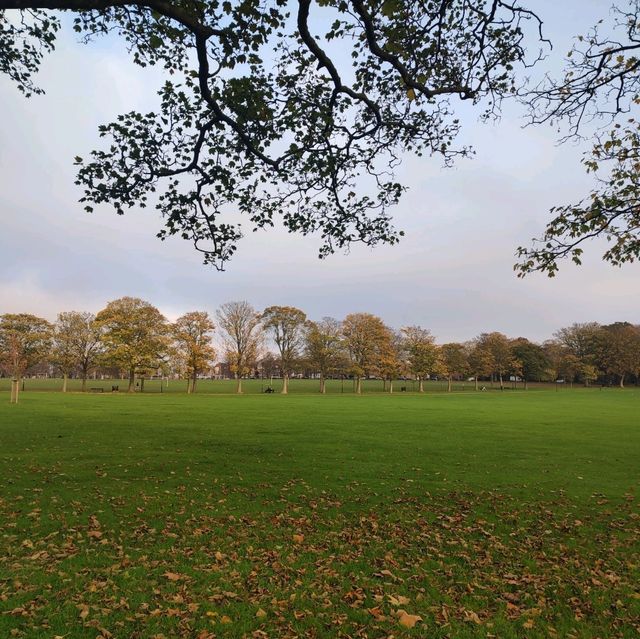 Student Friendly City 👉🏼 Leicester 