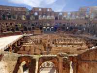 The Colosseum: Window to Ancient Spectacles