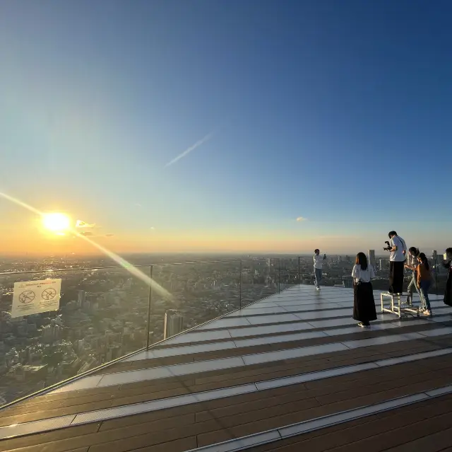 Panoramic Outdoor View of Tokyo