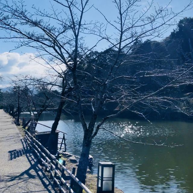 【滋賀県/国宝  彦根城🏯】