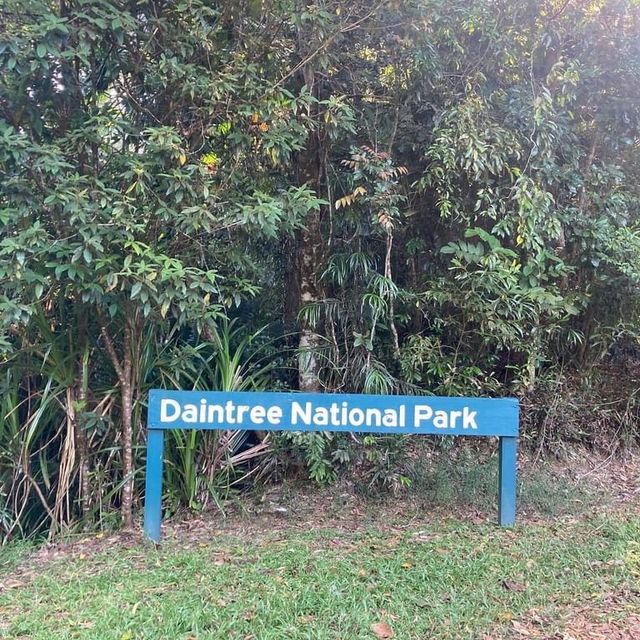 Decent Roadtrip: Daintree National Park 🇦🇺