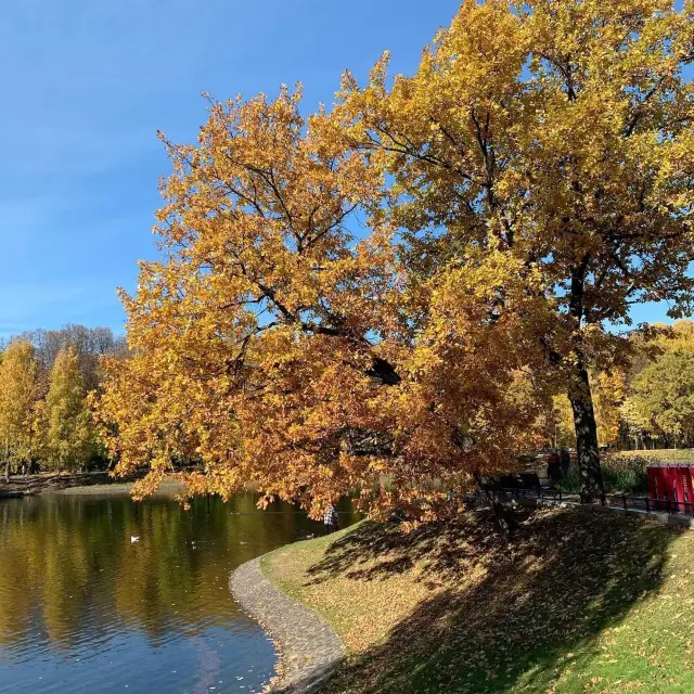 Park Ostankino 😍