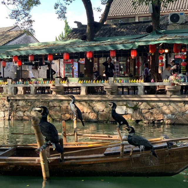 同里古镇：Amazing Tongli Ancient Town ⭐️✨