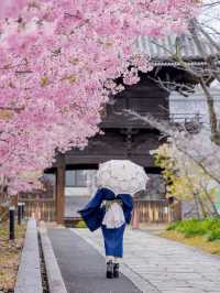 🌸묘렌지 사원🌸