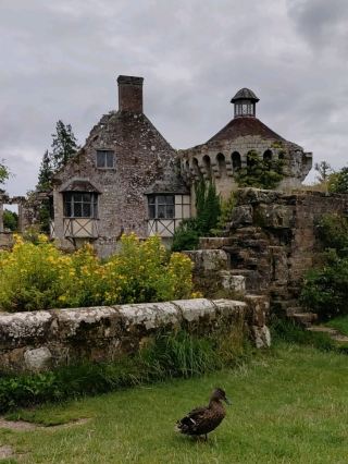 Autumn Enchantment: Scotney Castle's Fall Splendor!