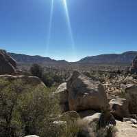 Joshua Tree: U2 can visit 