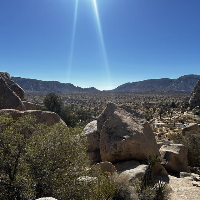 Joshua Tree: U2 can visit 