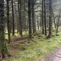 The fellside trail