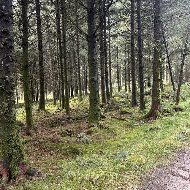 The fellside trail