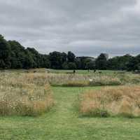 Explore the Beauty of Kensington Forest
