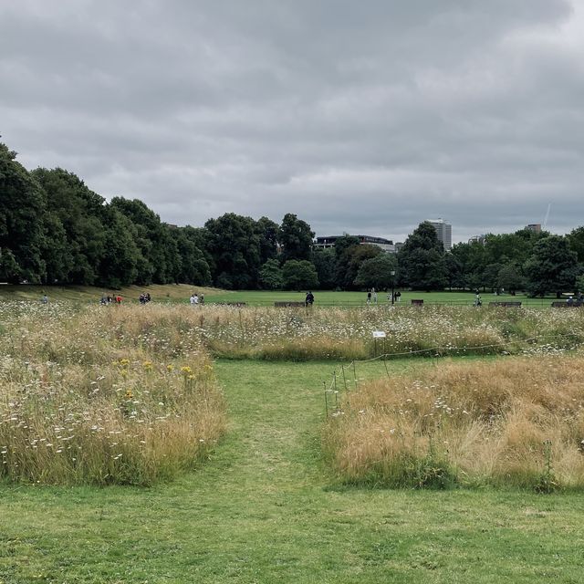 Explore the Beauty of Kensington Forest