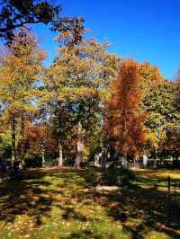 Wandering Malmö: Nordic Vibes and Modern Marvels