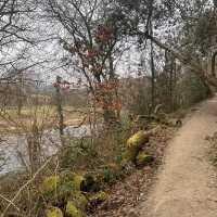 The perfect winter walk 