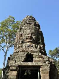 In the footsteps of Lara Croft! 