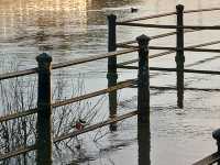 Twickenham by the River Thames