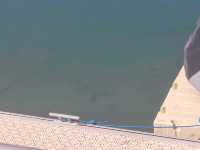 beach and marina walks
