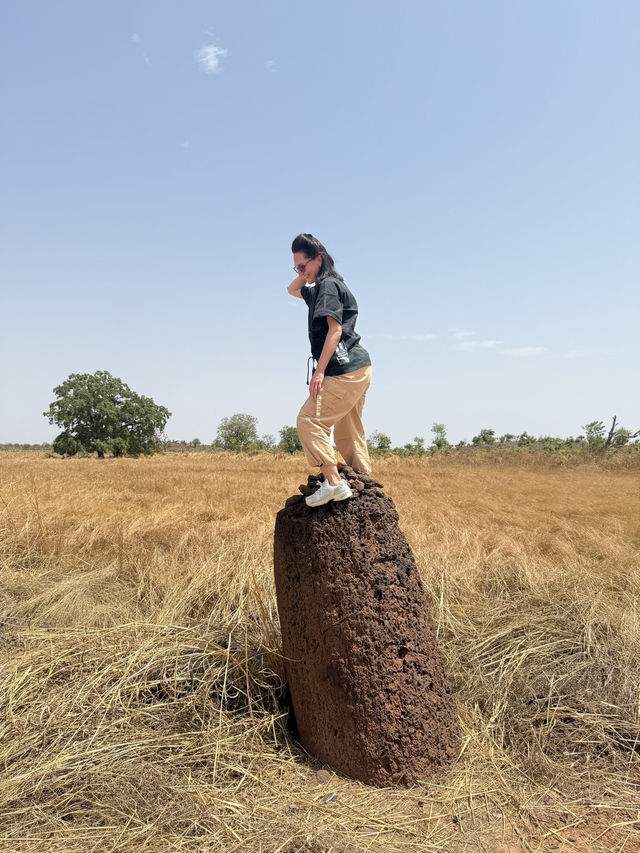 The Stone Circles of Senegambia
