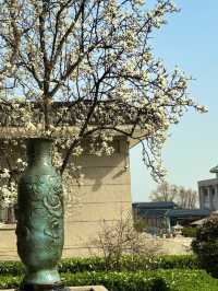Spring in Hebron, West Bank