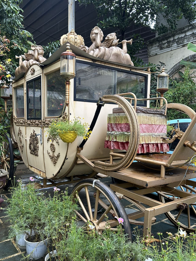 My First experience after landing in Vietnam 🇻🇳 