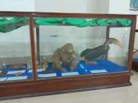 Lao National Museum