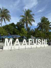 Boats in the Maldives: Should You Take a Ferry or a Speedboat?