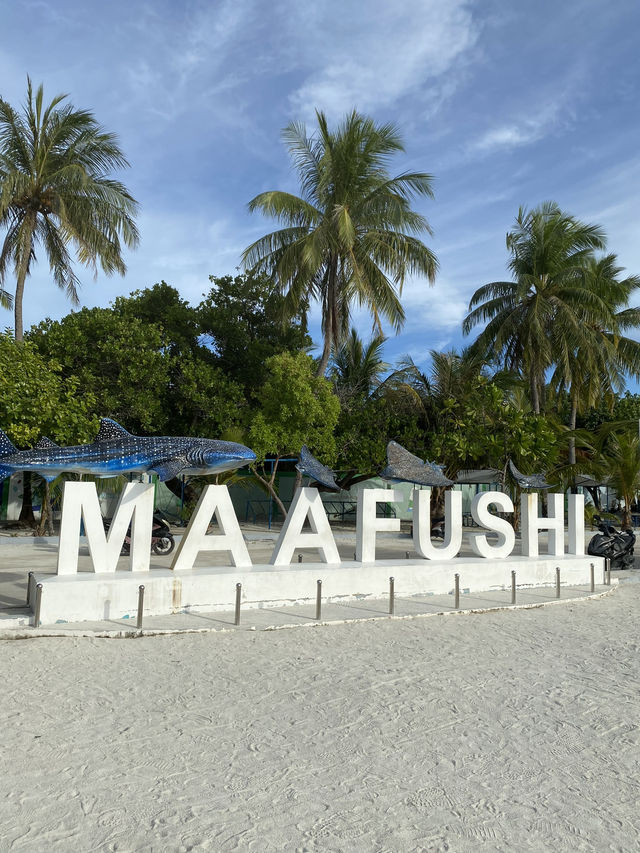 Boats in the Maldives: Should You Take a Ferry or a Speedboat?