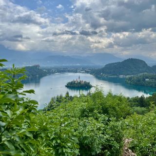 I Came for the Cake, Stayed for the View – Lake Bled