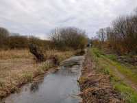 Magor Marsh and the Caldicot Levels 