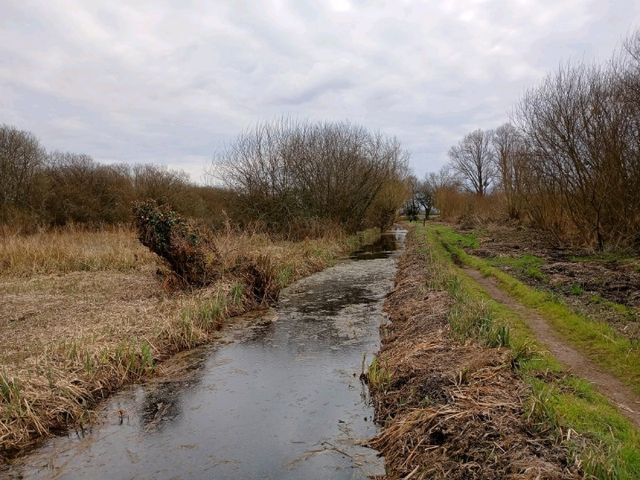 Magor Marsh and the Caldicot Levels 