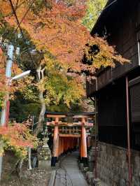 Kyoto, Japan