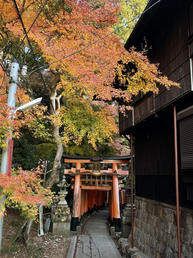 Kyoto, Japan