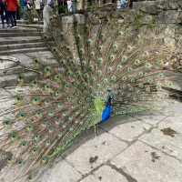 2–3 Days in Lisbon – Hills, History & Coastal Charm