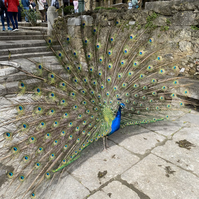 2–3 Days in Lisbon – Hills, History & Coastal Charm
