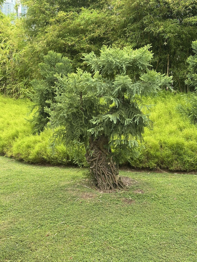 💮 🌿✨ Gardens by the Bay -Daytime