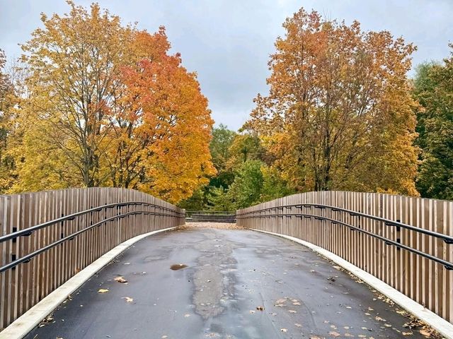 Panevėžys: Lithuania’s Quiet Heart of Culture and Charm