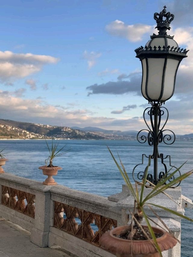 Sunlit Waterside🌊 Sunlit Waterside🌊