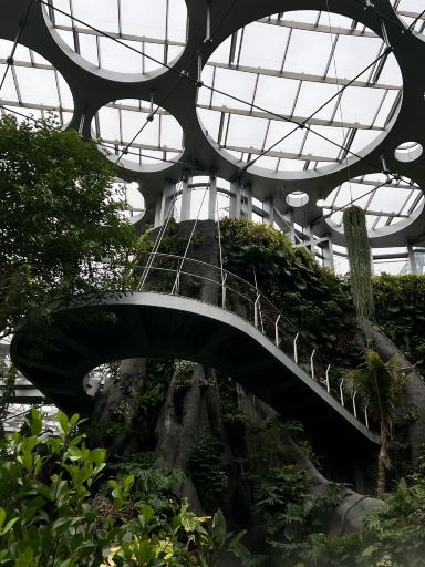 Shanghai Greenhouse Garden 🌿 A Hidden Oasis Inside Expo Culture
