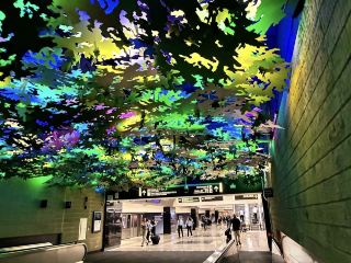 天空中的叢林 — 亞特蘭大機場的隱藏寶石
