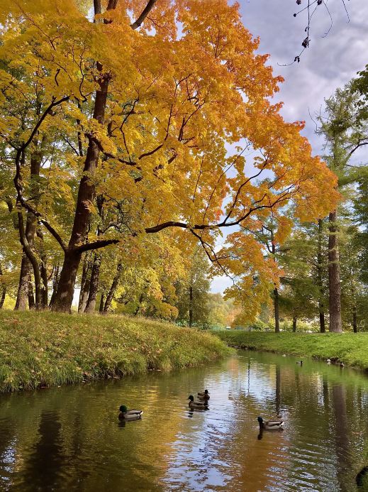 Fall Colors in Saint Petersburg: A Quiet Walk Through Tauride Garden