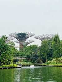 Garden’s by the Bay | Singapore