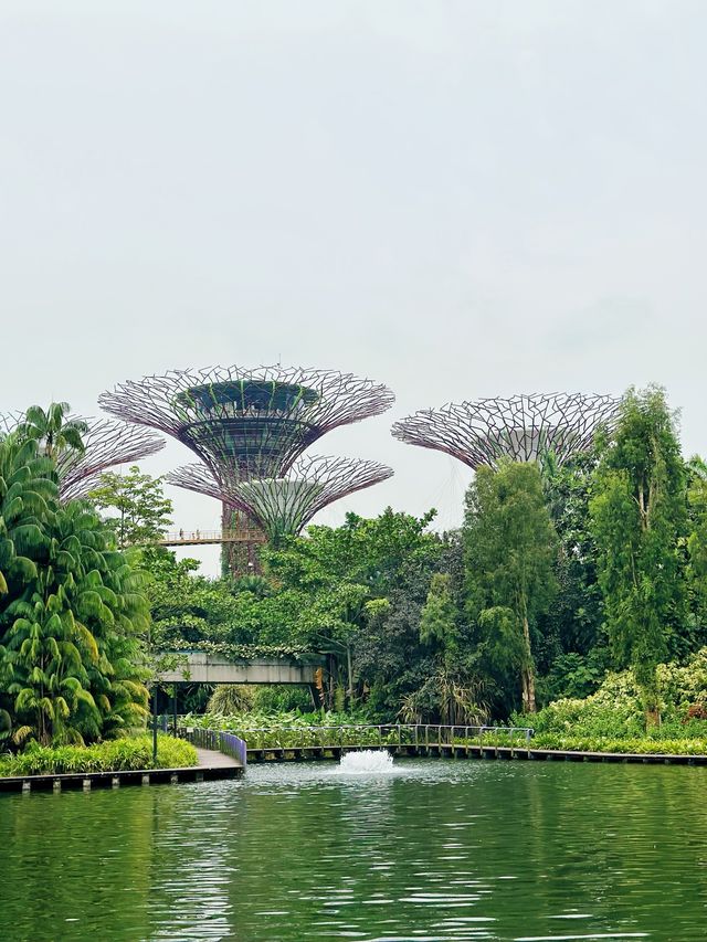 Garden’s by the Bay | Singapore