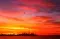 thalia_5567