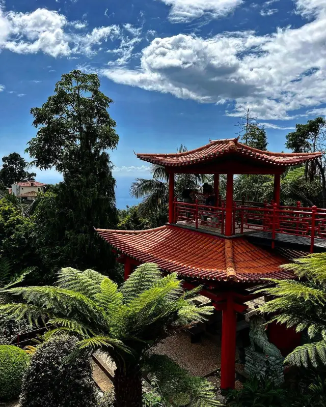 Discover the Enchanting Madeira Islands: Paradise in the Atlantic! 🏝️🌸