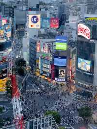 【東京網紅打卡】Shibuya Sky絕美城市夜景