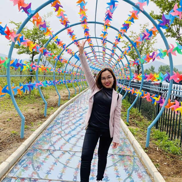 Qingzhou Xinghua Village 🎡🎠🎢🎟