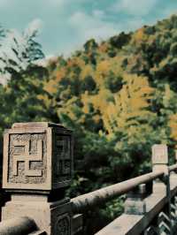 宁波遊玩好去處丨香山教寺