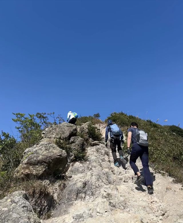 西貢東郊野公園，生態探秘之旅