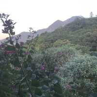 Conghua - The Home of Relaxation 