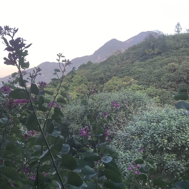 Conghua - The Home of Relaxation 